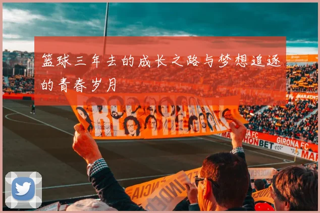 篮球三年去的成长之路与梦想追逐的青春岁月