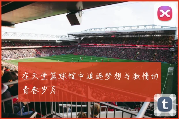 在天堂篮球馆中追逐梦想与激情的青春岁月