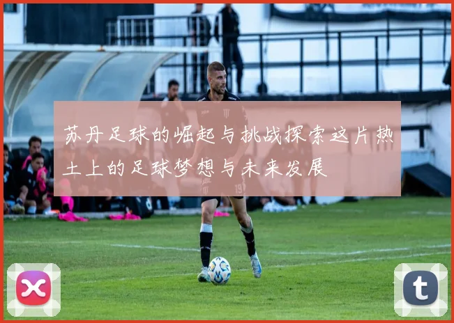苏丹足球的崛起与挑战探索这片热土上的足球梦想与未来发展
