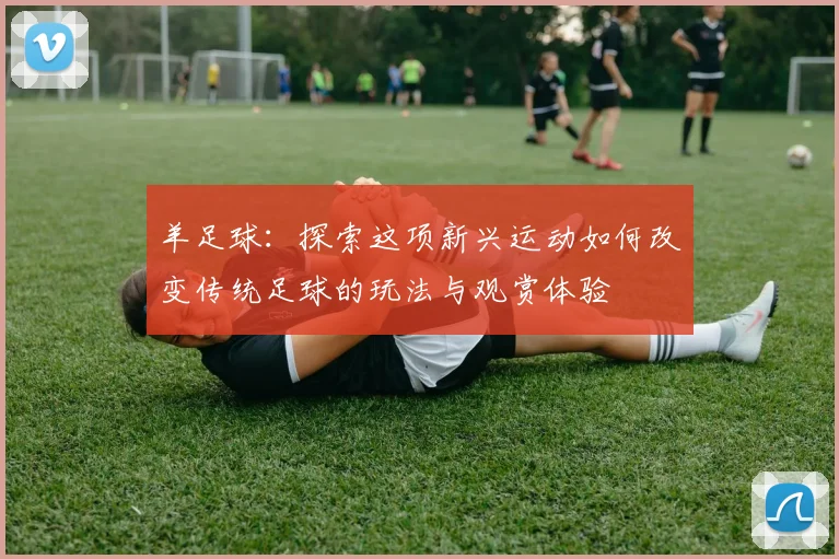 羊足球：探索这项新兴运动如何改变传统足球的玩法与观赏体验